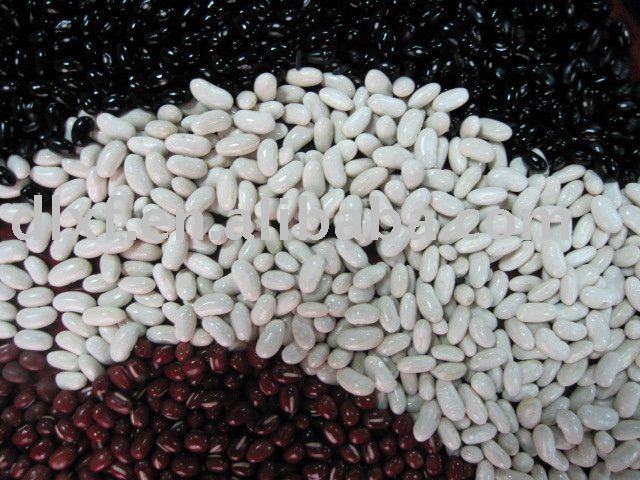 BEANS WHITE-BLACK AND RED KIDNEY