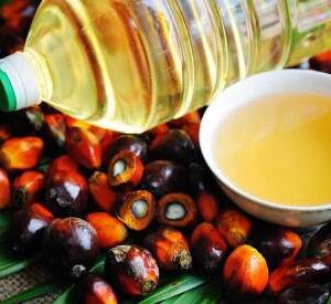 REFINED PALM OIL
