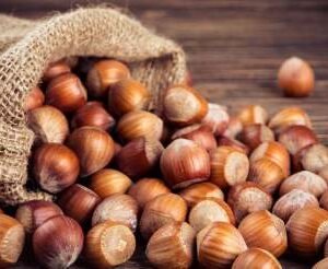 HAZELNUTS
