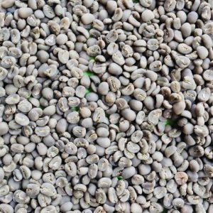 Ethiopian Sidama G2 coffee beans (FW)