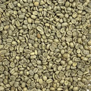 Guatemala Green / Raw Coffee Beans Grain Pro - 500g