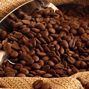 South African Entumeni Hills coffee lot A25-T1035