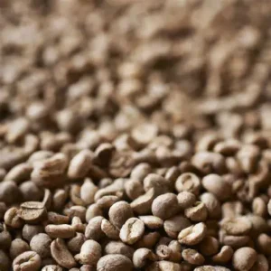 Ugandan Wahata Naturally processed coffee