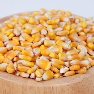 Yellow corn