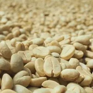 Ethiopian Yirgacheffee Chelchele Lot 1 Organic washed coffee